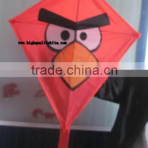 Diamond Kite thumbnail-1