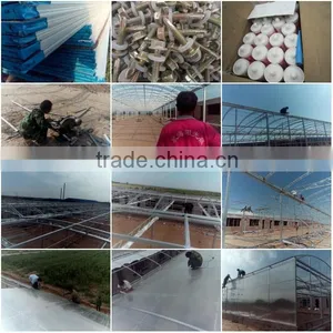 8mm Multi-wall Polycarbonate Sheet/ Solarpanel /polycarbonate Sheet Price thumbnail-3
