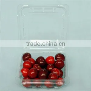Small Clear Plastic Waxberry Packaging Box thumbnail-3