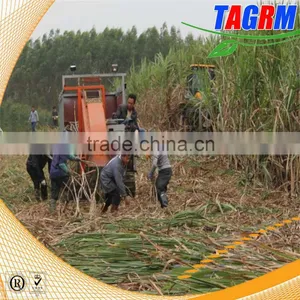 Multifunctuion Sugarcane Leaf Peelingmachine /sugarcane Leaf Removing Machine/sugar Cane Leaf Peeler thumbnail-2
