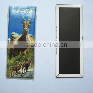 Fridge Magnet Sticker thumbnail-1