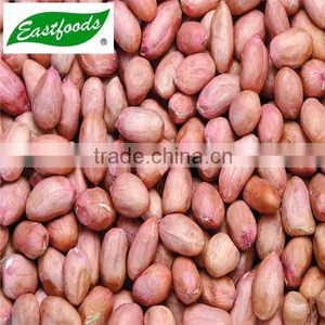 New Crop Peanut Kernel thumbnail-3