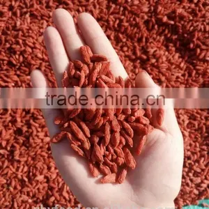 Organic Dried Goji Berry Certificated Health Food Pesticied Free thumbnail-2