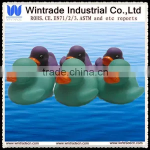 Purple & Green Duck Color Changing thumbnail-1