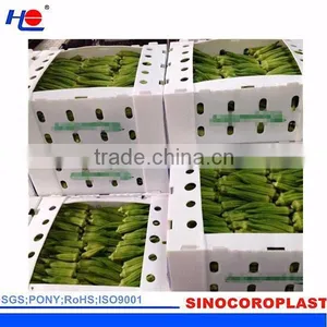 Plastic Fruit Packaging Box thumbnail-6