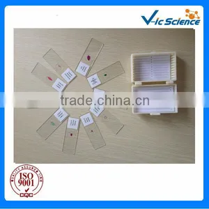 Plastic Microscope Slides Boxes thumbnail-1