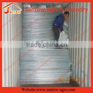 Automatic Chicken Egg Layer Cages Poultry Battery Cage System for Nigeria Farm thumbnail-6