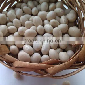 Organic Navy White Bean(Newcrop, Heilongjiang Origin, Hps Quality) thumbnail-1