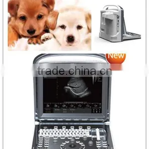 Good Quality Veterinary Ultrasound Scanner ECO1 VET With Convex Linear Probe Optional thumbnail-1