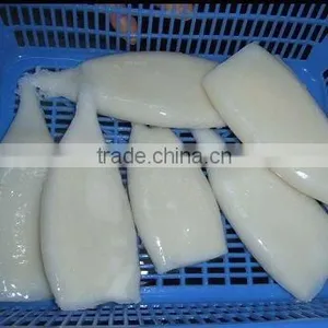 Frozen Squid Tube thumbnail-2