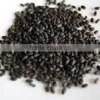 CHIA SEED thumbnail-5