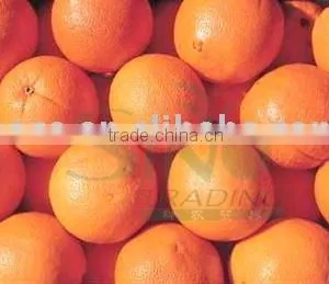 Fresh Navel Orange thumbnail-1