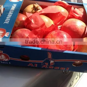 4.5 kg Carton Box Packing of Fresh Pomegranates From Egypt thumbnail-4