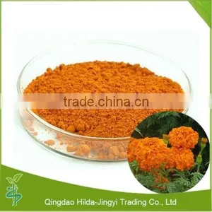 Marigold Extract, Water Soluble Lutein 5% (HPLC) thumbnail-1
