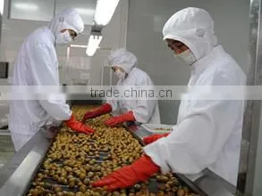 Hebei Liyuan Food Co., Ltd. company overview - view 2 thumbnail