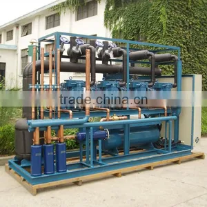 Parallel Compressor Units thumbnail-1