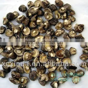 Copy Wood Mushrooms thumbnail-1