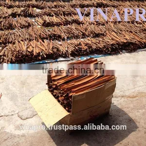 VIETNAM THIN SPLIT CASSIA thumbnail-2
