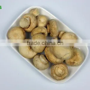 Fresh Air Dried Mushroom Flower thumbnail-2