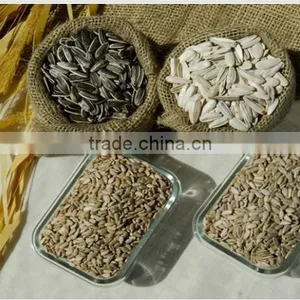 High Quality Sunflower Kernels NEW CROP thumbnail-1