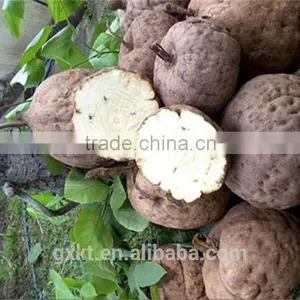 Saleable Thailand Pueraria Mirifica Essential Oil Big Breast Massage Oil thumbnail-3