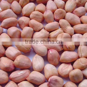 High Quality Red Skin Peanut thumbnail-2