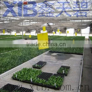 Greenhouse Hydroponic Growing Systems thumbnail-1