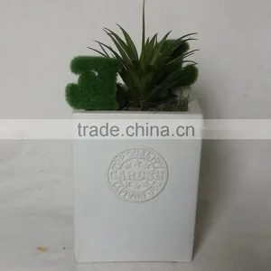 Pots With Fake Plants thumbnail-1