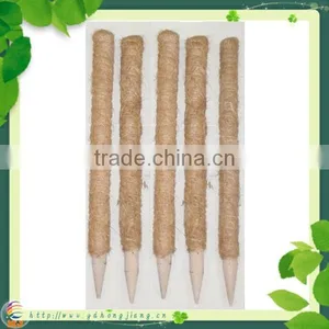 Coir Stake for Climbing Plant Support thumbnail-5