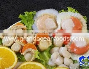 Frozen Scallop Meat With Roe and Frill,IQF thumbnail-1