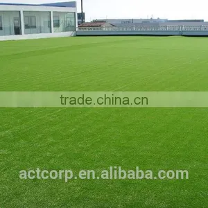 Durable Luxuriose Ornamente Gras Fur Rasen Made In China ACTLS-1240 thumbnail-2
