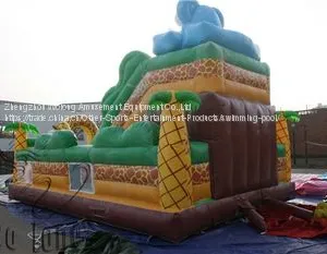 Wolong PVC Trapualin Inflatable Dry Slide, Inflatable Water Slides For Backyard thumbnail-3