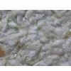 HUANWEI Wall Finish Will Make Your Rooms More Stunning and Stylish. Please Check Out All Our Popular Styles!! thumbnail-1