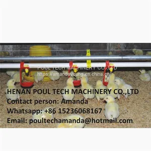 Ethiopia Poultry House & Chicken Farm Plastic Saltted Floor System for Broiler & Floor Raising System With Nipple Drinker System & Feeding Pan System thumbnail-1