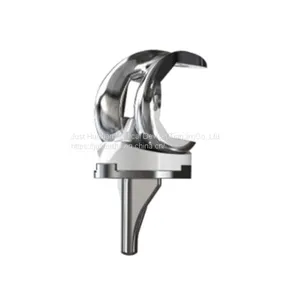 High Flexion Total Knee System Reducing the Wear Effectively thumbnail-2