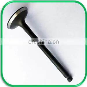 Cross-country Spare Parts Engine Valve for Izuzu Bighorn Ubs69 4XJ1 4JG2 4ZE1 thumbnail-1
