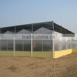 Commercial Multi Span Vegetable & Flower Greenhouse thumbnail-2