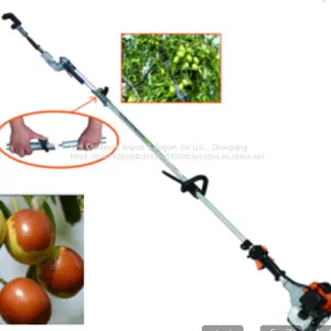 China CE Top Quality Fruit Picker for Farm and Garden Use thumbnail-2