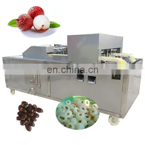 High Quality Cheap Oli Olive Longan Lychee Apple Date Corer On Sale thumbnail-3
