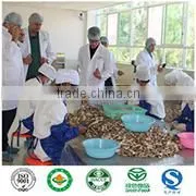 Yunnan Sunshine Trading Co., Ltd. company overview - view 1 thumbnail