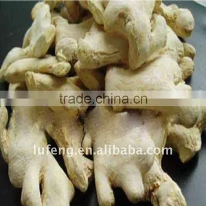 Chinese Best Quality and Price Dried Ginger thumbnail-1