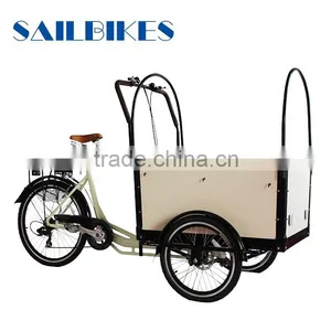 Family Cargo Bike Dutch Tricycle for Kids thumbnail-2