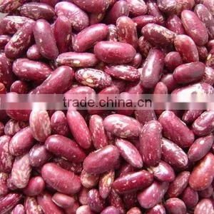 Bean thumbnail-1
