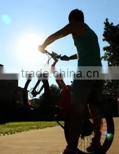 Seagull,kids Balance Motor Battery Range Extender Electric Bicycle thumbnail-6