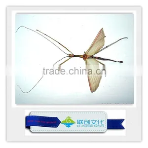 Park Decorations Insect thumbnail-3