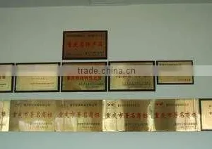 Chongqing Kinglong Machinery Co., Ltd. company overview - view 3 thumbnail