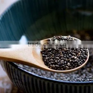 SALVIA HISPANICA SEED thumbnail-1