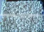 Chinese Fresh Normal White Garlic thumbnail-1