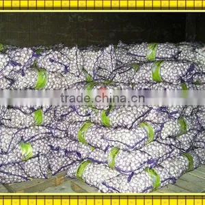 Selling Fresh Yellow Garlic thumbnail-1