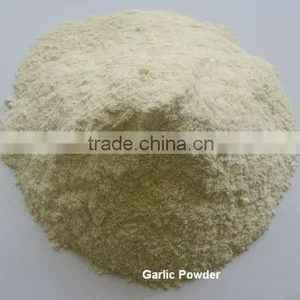 Natural Hot Sell Dehydrated Bulk Garlic Powder in China thumbnail-4